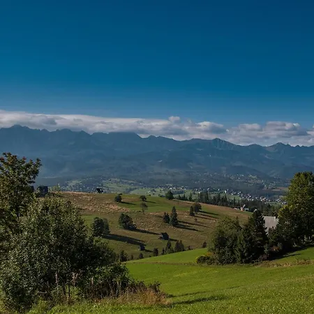 U Skowyrów Domek alpejski